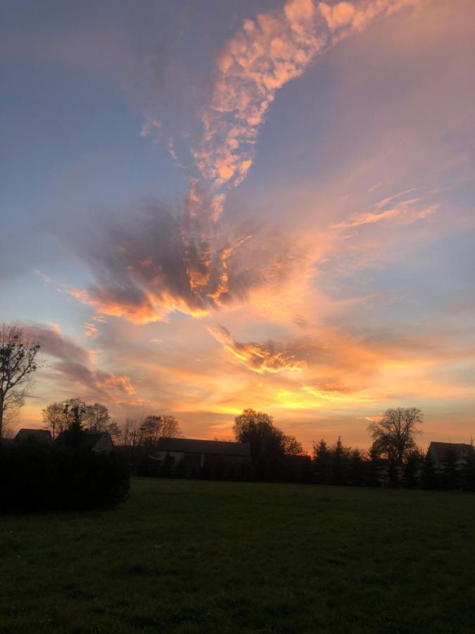 Farm stay Dom Nad Stawem *